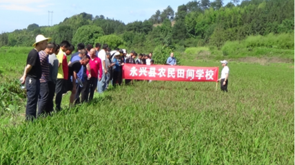 把農(nóng)技推廣服務(wù)辦在田間地頭——記永興縣農(nóng)業(yè)農(nóng)村局開展“學(xué)黨史為群眾辦實事”農(nóng)業(yè)技術(shù)推廣活動