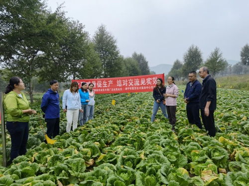 以試驗促進高效生產，以科技助力生態農業——省農業技術推廣總站的實踐與探索